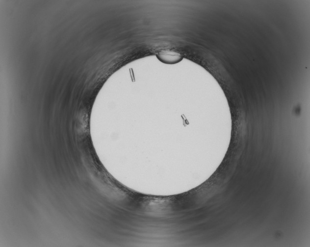 X0000115230081200912111041