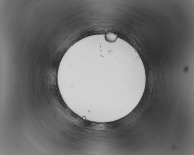 X0000115230083200912111041