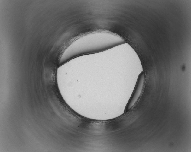 X0000115230084200912111041