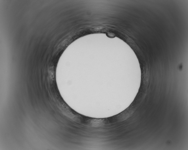 X0000115230085200912111041