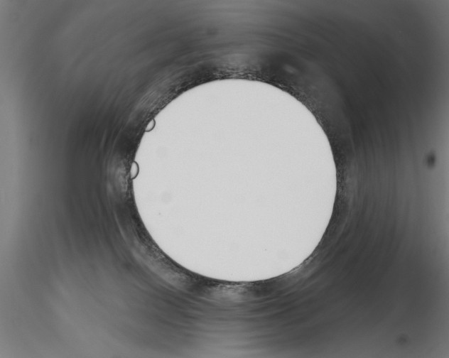 X0000115230086200912111041