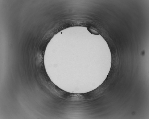 X0000115230087200912111041