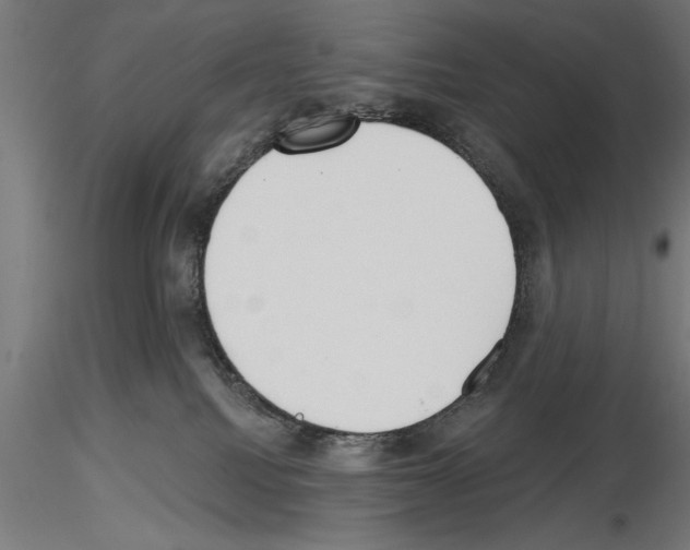 X0000115230088200912111041