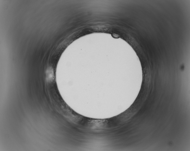 X0000115230089200912111041