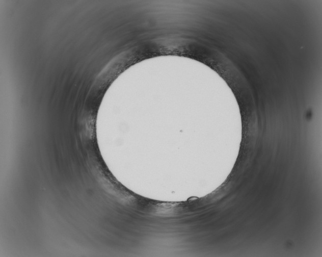 X0000115230090200912111041