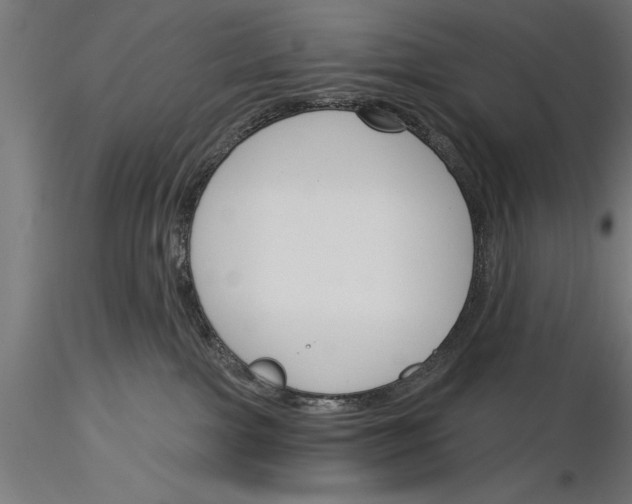 X0000115230091200912111041