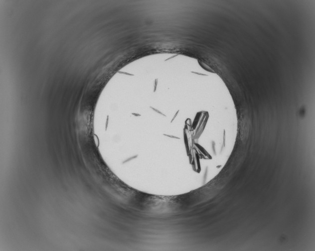 X0000115230093200912111041