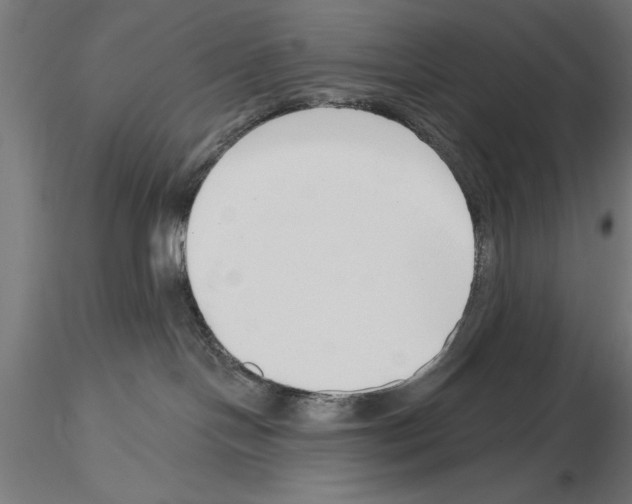 X0000115230094200912111041