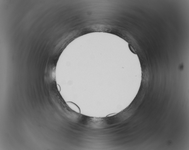 X0000115230095200912111041