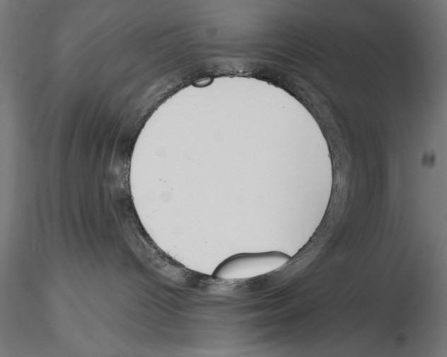 X0000115230096200912111041