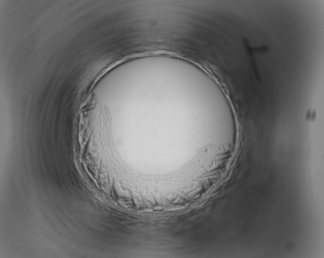 X0000115230097200912111040