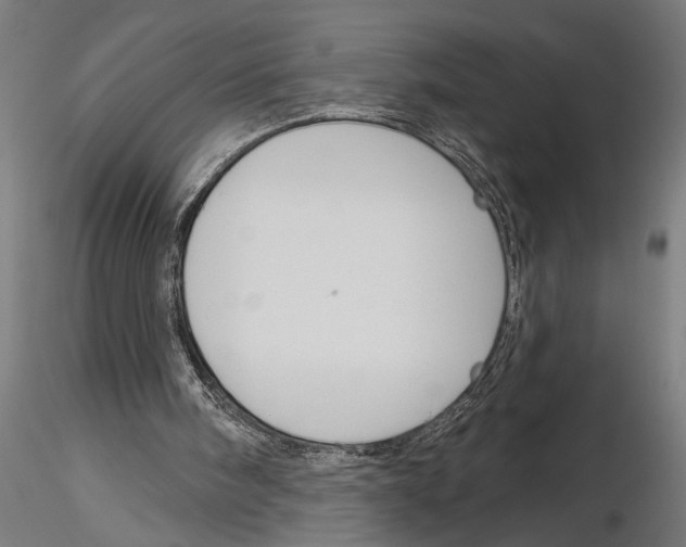 X0000115230098200912111040