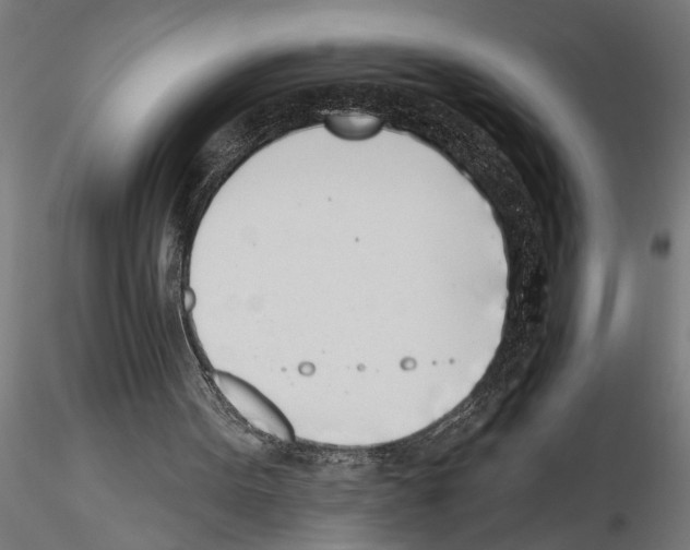 X0000115230099200912111040