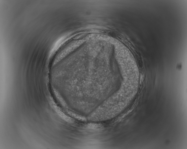 X0000115230101200912111040