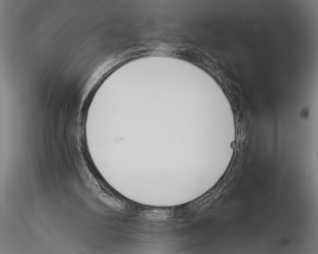 X0000115230102200912111040