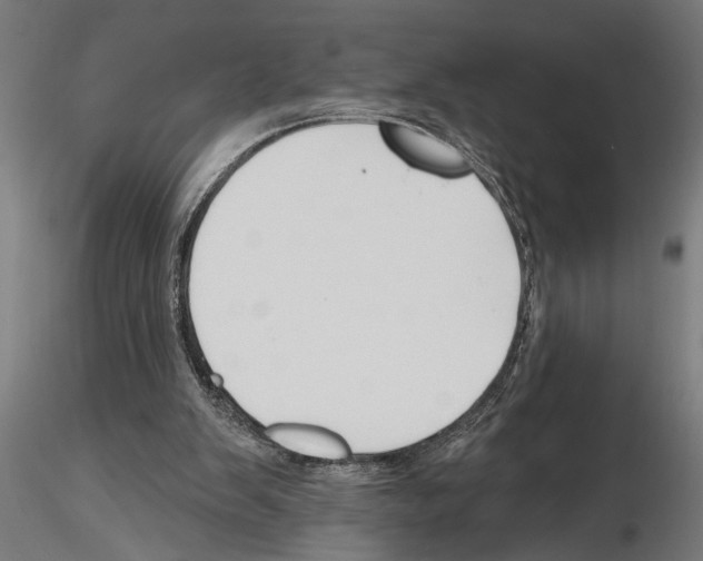 X0000115230103200912111040