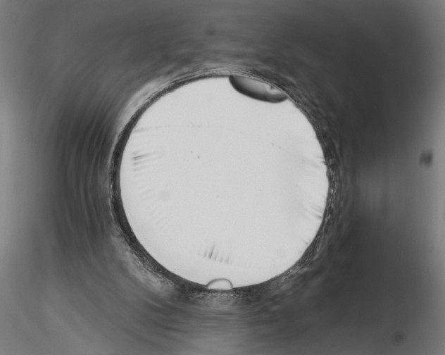 X0000115230104200912111040