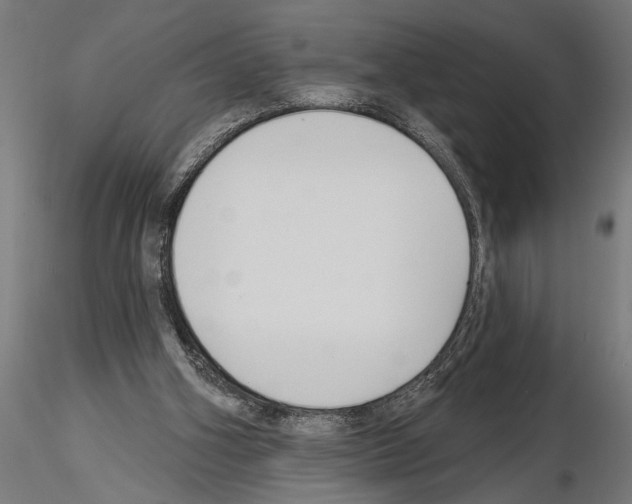 X0000115230106200912111040