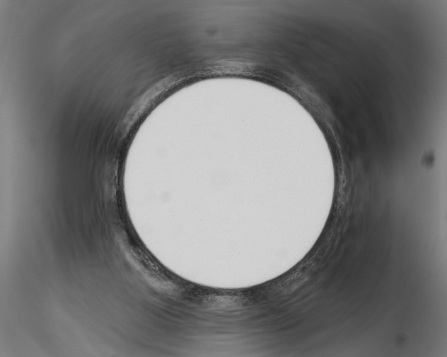 X0000115230107200912111040