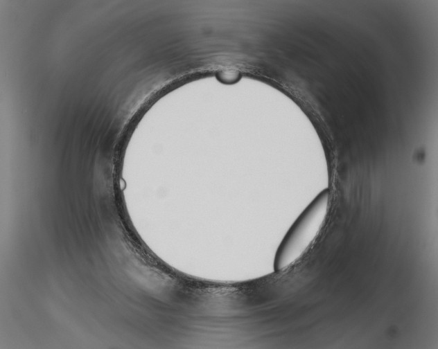 X0000115230108200912111040