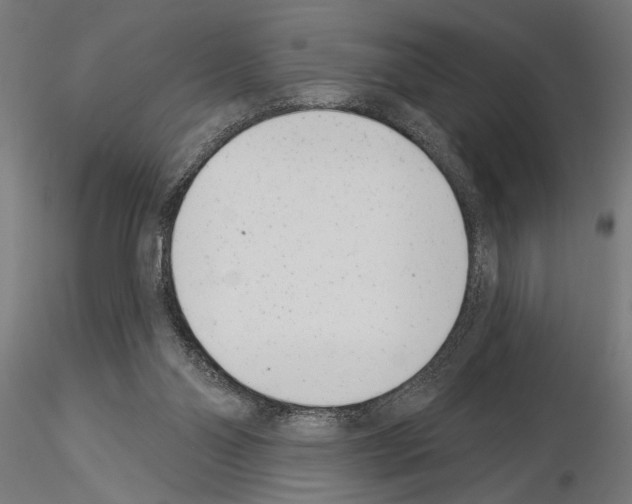 X0000115230110200912111040