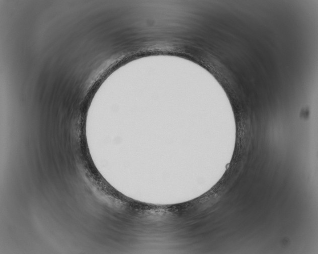 X0000115230112200912111040