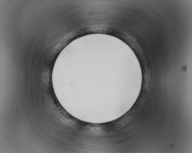 X0000115230113200912111040