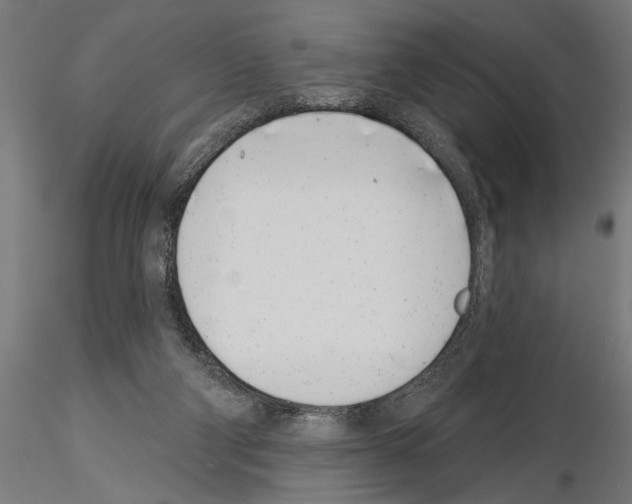 X0000115230114200912111040