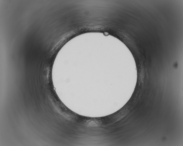 X0000115230115200912111040