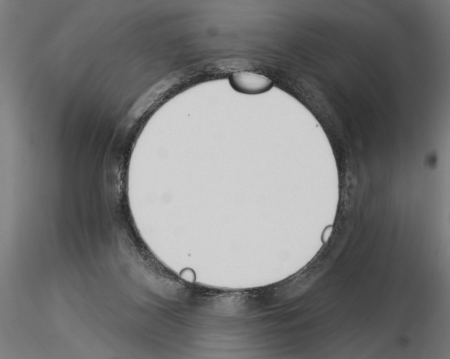 X0000115230116200912111040