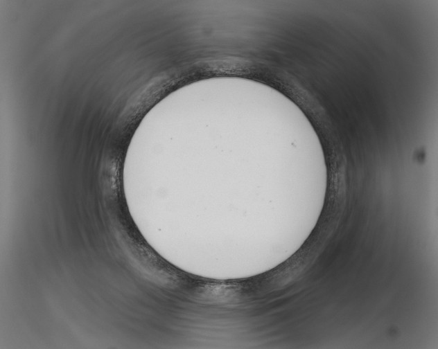 X0000115230117200912111040