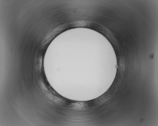 X0000115230118200912111040