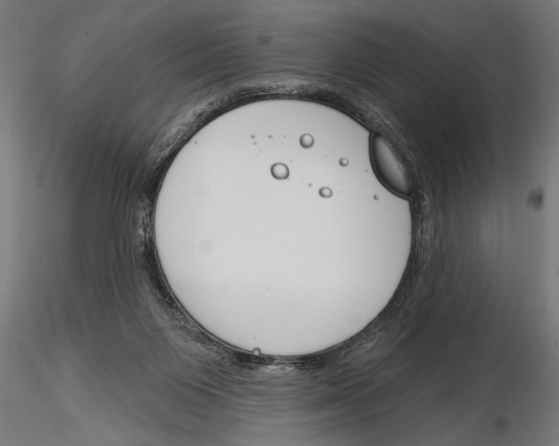 X0000115230119200912111040