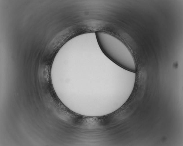 X0000115230121200912111040