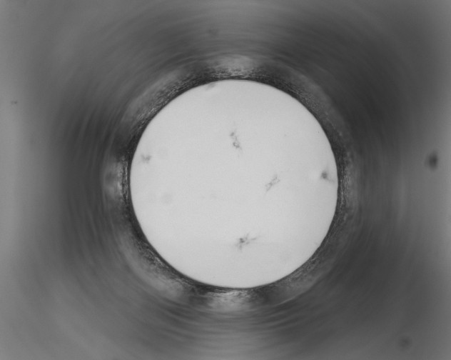 X0000115230122200912111040