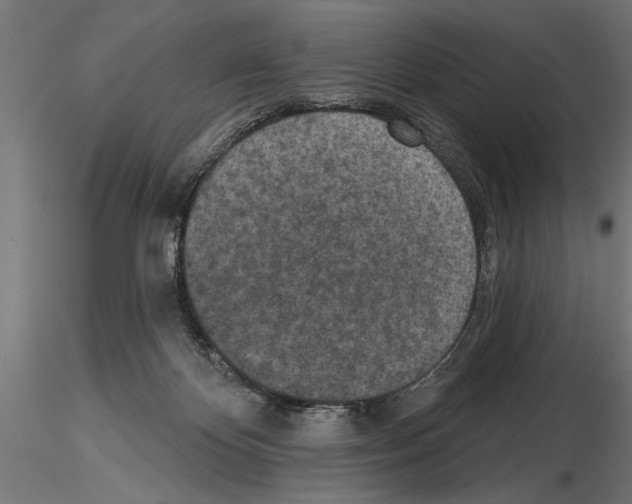 X0000115230124200912111040