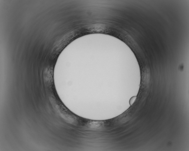 X0000115230126200912111040