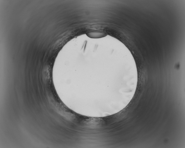 X0000115230128200912111040