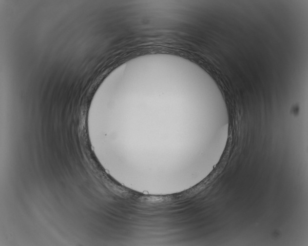 X0000115230129200912111040