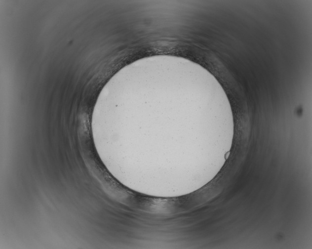 X0000115230130200912111040