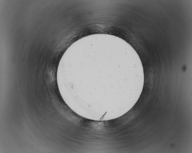 X0000115230131200912111040