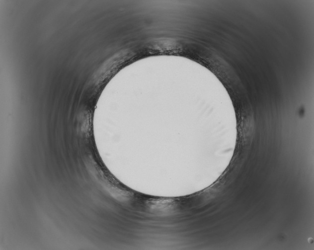 X0000115230132200912111040