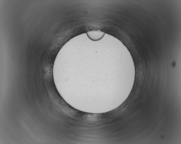 X0000115230134200912111040