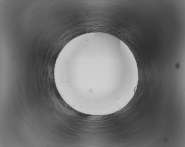 X0000115230136200912111040