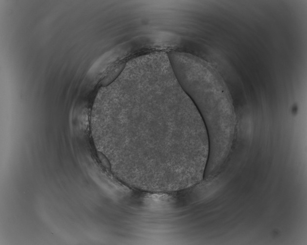 X0000115230137200912111040