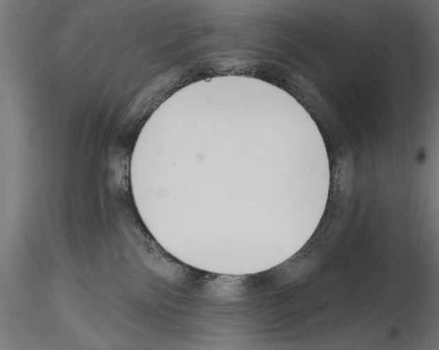 X0000115230138200912111039