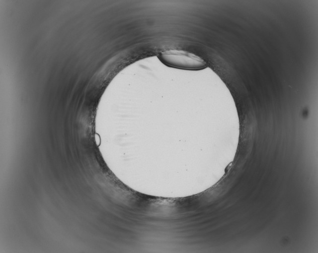 X0000115230140200912111039