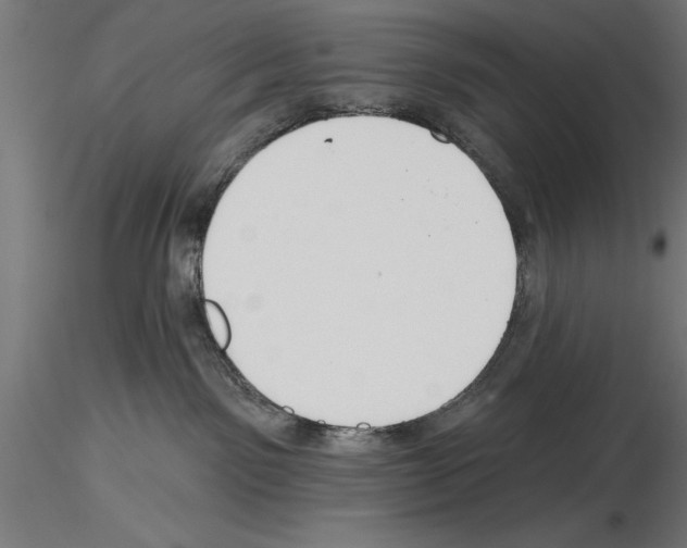 X0000115230141200912111039