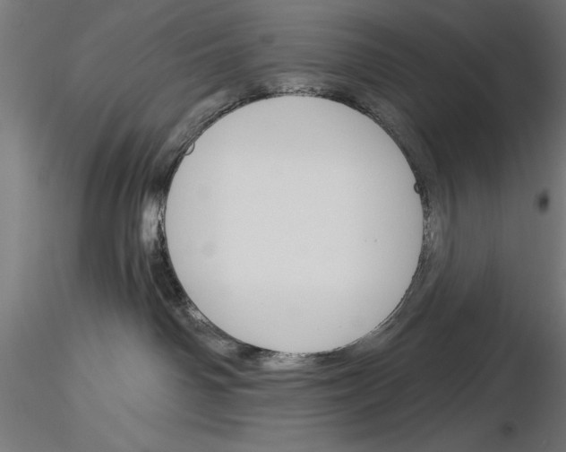 X0000115230142200912111039