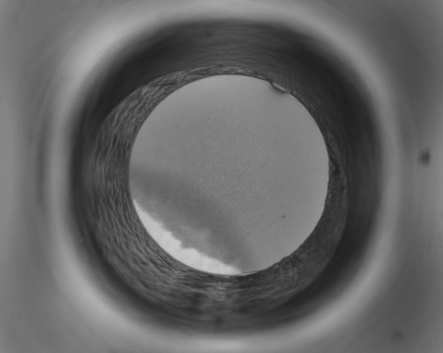 X0000115230143200912111039